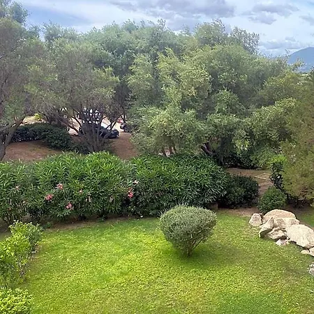 Asfodeli Portorotondo * Porto Rotondo